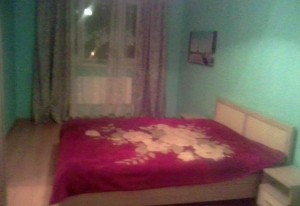 Сдам 1к.кв. в Чашниково на длительный срок