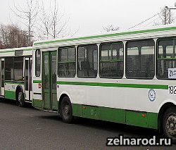article117.jpg